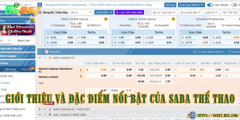 Giới thiệu và đặc điểm nổi bật của SABA Thể Thao
