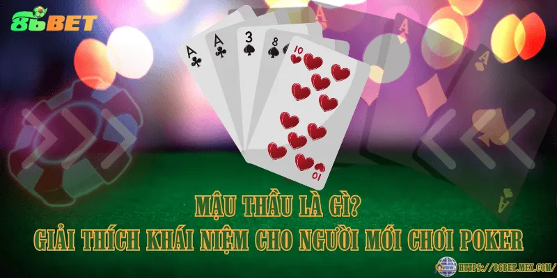 Mậu thầu là gì? Giải thích khái niệm cho người mới chơi Poker