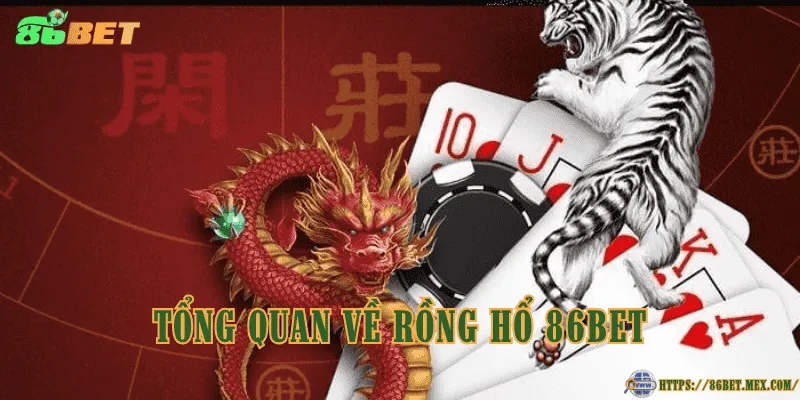 Tổng quan về rồng hổ 86BET