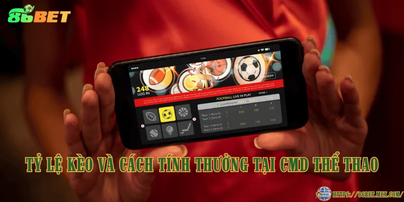CMD Thể Thao – Sảnh cá cược thể thao uy tín hàng đầu Tỷ lệ kèo và cách tính thưởng tại CMD Thể Thao