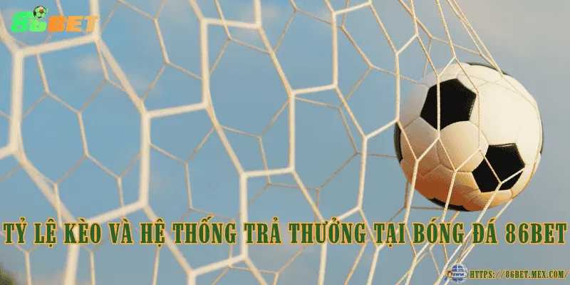 Tỷ lệ kèo và hệ thống trả thưởng tại bóng đá 86BET