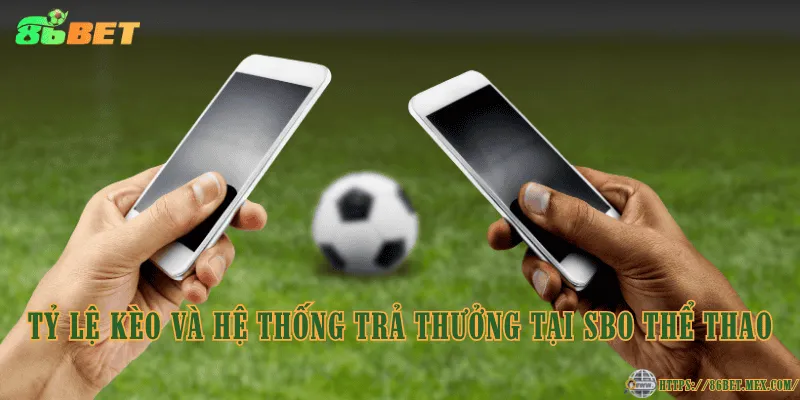 Tỷ lệ kèo và hệ thống trả thưởng tại SBO Thể Thao